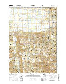 Williams Prairie Oregon Current topographic map, 1:24000 scale, 7.5 X 7.5 Minute, Year 2014