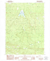 Willow Lake Oregon Historical topographic map, 1:24000 scale, 7.5 X 7.5 Minute, Year 1988