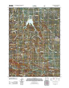 Willow Lake Oregon Historical topographic map, 1:24000 scale, 7.5 X 7.5 Minute, Year 2011