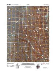 Windy Point Oregon Historical topographic map, 1:24000 scale, 7.5 X 7.5 Minute, Year 2011