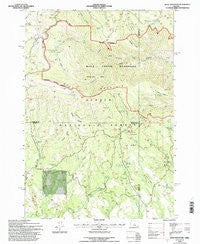 Wolf Mountain Oregon Historical topographic map, 1:24000 scale, 7.5 X 7.5 Minute, Year 1992