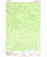 Wolf Peak Oregon Historical topographic map, 1:24000 scale, 7.5 X 7.5 Minute, Year 1985