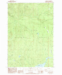 Wolf Peak Oregon Historical topographic map, 1:24000 scale, 7.5 X 7.5 Minute, Year 1985