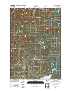 Wolf Peak Oregon Historical topographic map, 1:24000 scale, 7.5 X 7.5 Minute, Year 2011