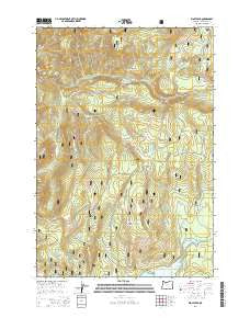 Wolf Peak Oregon Current topographic map, 1:24000 scale, 7.5 X 7.5 Minute, Year 2014