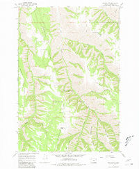 Wood Butte Oregon Historical topographic map, 1:24000 scale, 7.5 X 7.5 Minute, Year 1967