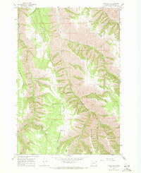 Wood Butte Oregon Historical topographic map, 1:24000 scale, 7.5 X 7.5 Minute, Year 1967