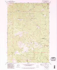 Woods Point Oregon Historical topographic map, 1:24000 scale, 7.5 X 7.5 Minute, Year 1979