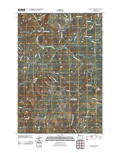 Woods Point Oregon Historical topographic map, 1:24000 scale, 7.5 X 7.5 Minute, Year 2011
