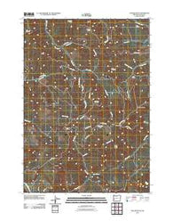 Yellow Butte Oregon Historical topographic map, 1:24000 scale, 7.5 X 7.5 Minute, Year 2011