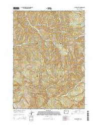 Yellow Butte Oregon Current topographic map, 1:24000 scale, 7.5 X 7.5 Minute, Year 2014
