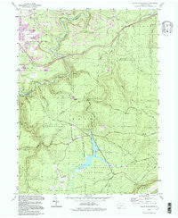 Black Moshannon Pennsylvania Historical topographic map, 1:24000 scale, 7.5 X 7.5 Minute, Year 1994