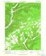 Bodines Pennsylvania Historical topographic map, 1:24000 scale, 7.5 X 7.5 Minute, Year 1965