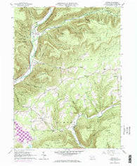 Bodines Pennsylvania Historical topographic map, 1:24000 scale, 7.5 X 7.5 Minute, Year 1965