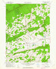 Broadheadsville Pennsylvania Historical topographic map, 1:24000 scale, 7.5 X 7.5 Minute, Year 1960