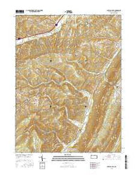 Buffalo Mills Pennsylvania Current topographic map, 1:24000 scale, 7.5 X 7.5 Minute, Year 2016