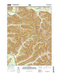 Bullis Mills Pennsylvania Current topographic map, 1:24000 scale, 7.5 X 7.5 Minute, Year 2016