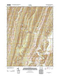 Butler Knob Pennsylvania Historical topographic map, 1:24000 scale, 7.5 X 7.5 Minute, Year 2013