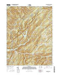 Caledonia Park Pennsylvania Current topographic map, 1:24000 scale, 7.5 X 7.5 Minute, Year 2016