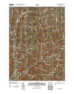 Dempseytown Pennsylvania Historical topographic map, 1:24000 scale, 7.5 X 7.5 Minute, Year 2010