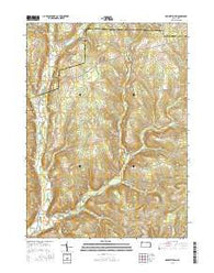 Dempseytown Pennsylvania Current topographic map, 1:24000 scale, 7.5 X 7.5 Minute, Year 2016