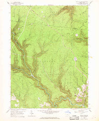 Devils Elbow Pennsylvania Historical topographic map, 1:24000 scale, 7.5 X 7.5 Minute, Year 1959