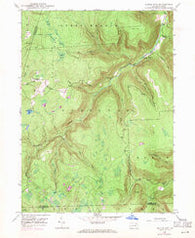 Dutch Mtn Pennsylvania Historical topographic map, 1:24000 scale, 7.5 X 7.5 Minute, Year 1946