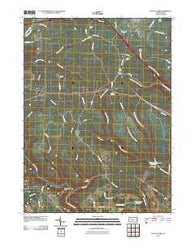 Elliott Park Pennsylvania Historical topographic map, 1:24000 scale, 7.5 X 7.5 Minute, Year 2010