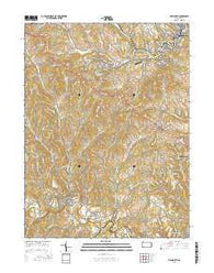 Ellsworth Pennsylvania Current topographic map, 1:24000 scale, 7.5 X 7.5 Minute, Year 2016