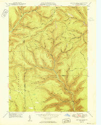 Lee Fire Tower Pennsylvania Historical topographic map, 1:24000 scale, 7.5 X 7.5 Minute, Year 1950