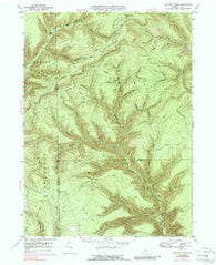 Lee Fire Tower Pennsylvania Historical topographic map, 1:24000 scale, 7.5 X 7.5 Minute, Year 1947