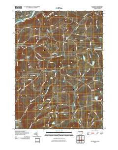Litchfield Pennsylvania Historical topographic map, 1:24000 scale, 7.5 X 7.5 Minute, Year 2010