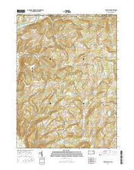 Litchfield Pennsylvania Current topographic map, 1:24000 scale, 7.5 X 7.5 Minute, Year 2016