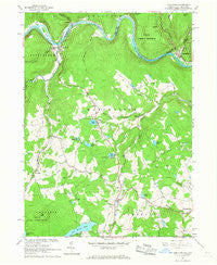 Long Eddy New York Historical topographic map, 1:24000 scale, 7.5 X 7.5 Minute, Year 1965