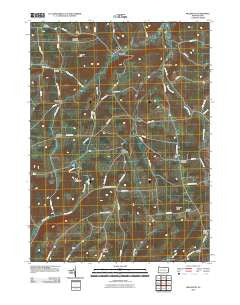 Millerton Pennsylvania Historical topographic map, 1:24000 scale, 7.5 X 7.5 Minute, Year 2010