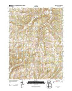 Millerton Pennsylvania Historical topographic map, 1:24000 scale, 7.5 X 7.5 Minute, Year 2013