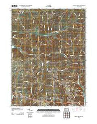 Mount Chestnut Pennsylvania Historical topographic map, 1:24000 scale, 7.5 X 7.5 Minute, Year 2010
