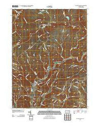 Picture Rocks Pennsylvania Historical topographic map, 1:24000 scale, 7.5 X 7.5 Minute, Year 2010