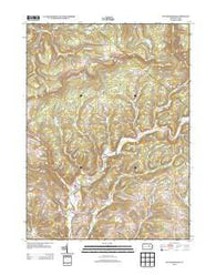 Picture Rocks Pennsylvania Historical topographic map, 1:24000 scale, 7.5 X 7.5 Minute, Year 2013