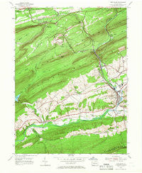 Pine Grove Pennsylvania Historical topographic map, 1:24000 scale, 7.5 X 7.5 Minute, Year 1954