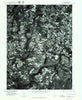Rockwood Pennsylvania Historical topographic map, 1:24000 scale, 7.5 X 7.5 Minute, Year 1977