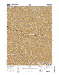 Rogersville Pennsylvania Current topographic map, 1:24000 scale, 7.5 X 7.5 Minute, Year 2016