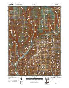 Salladasburg Pennsylvania Historical topographic map, 1:24000 scale, 7.5 X 7.5 Minute, Year 2010