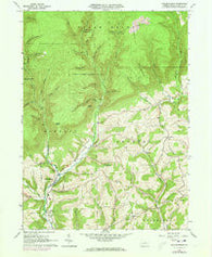 Salladasburg Pennsylvania Historical topographic map, 1:24000 scale, 7.5 X 7.5 Minute, Year 1965