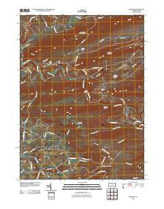 Shumans Pennsylvania Historical topographic map, 1:24000 scale, 7.5 X 7.5 Minute, Year 2010