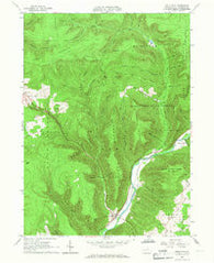 Trout Run Pennsylvania Historical topographic map, 1:24000 scale, 7.5 X 7.5 Minute, Year 1965