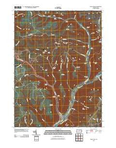 Trout Run Pennsylvania Historical topographic map, 1:24000 scale, 7.5 X 7.5 Minute, Year 2010