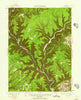Waterville Pennsylvania Historical topographic map, 1:62500 scale, 15 X 15 Minute, Year 1937
