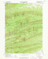 Williamsport SE Pennsylvania Historical topographic map, 1:24000 scale, 7.5 X 7.5 Minute, Year 1965