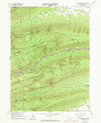 Williamsport SE Pennsylvania Historical topographic map, 1:24000 scale, 7.5 X 7.5 Minute, Year 1965